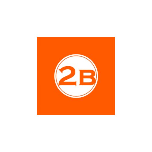Logo Wholesale2b Dropshipping